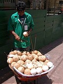 Seller fresh coconut